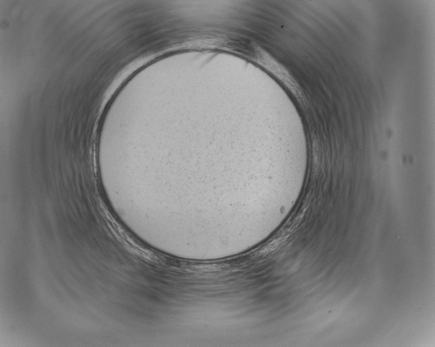 X0000076101436200610152332