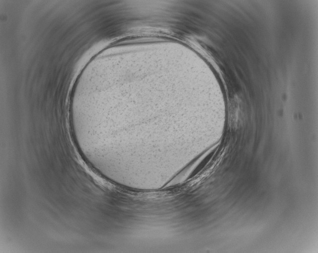 X0000076101437200610152332