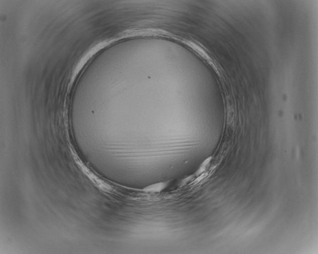 X0000076101438200610152332