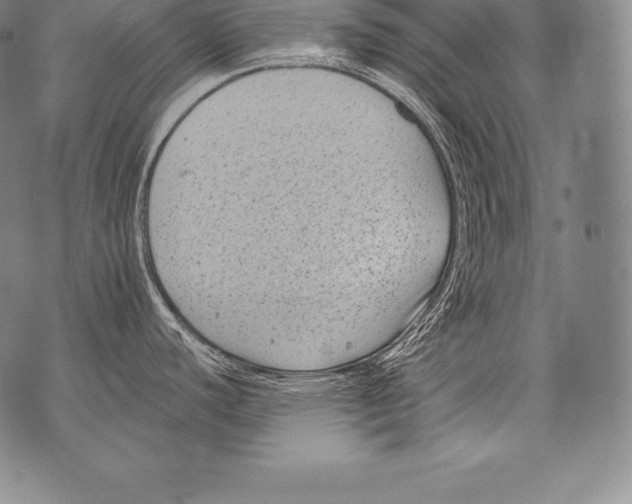 X0000076101440200610152332