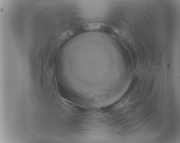 X0000076101441200610152331