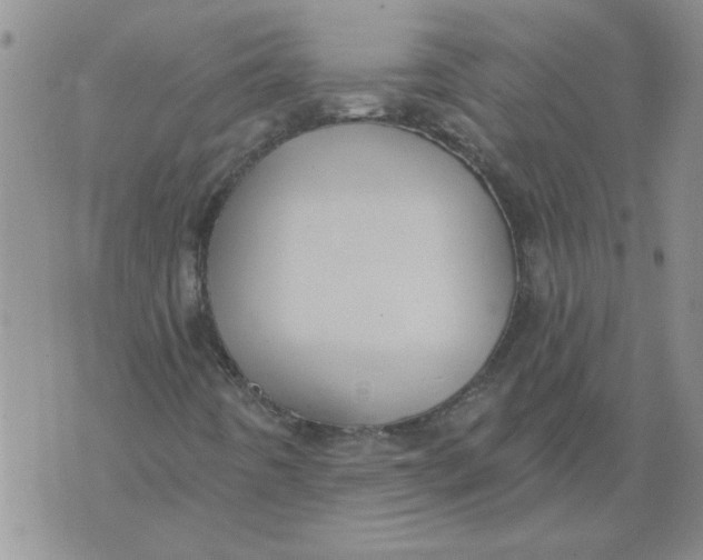 X0000076101442200610152331