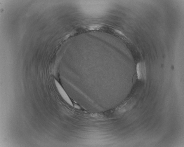 X0000076101443200610152331