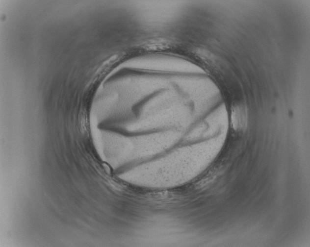 X0000076101444200610152331