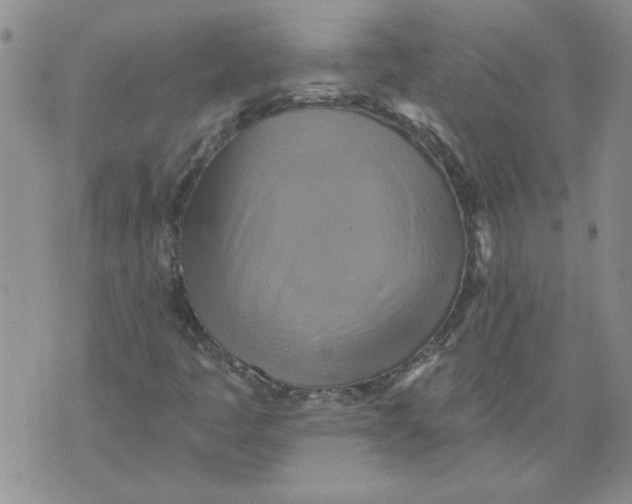 X0000076101445200610152331