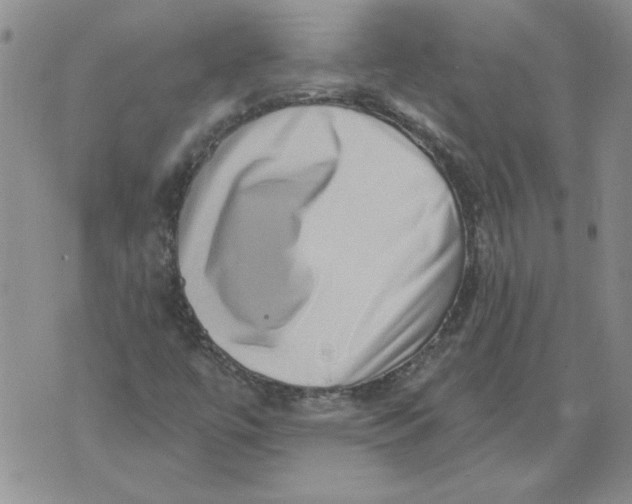 X0000076101447200610152331