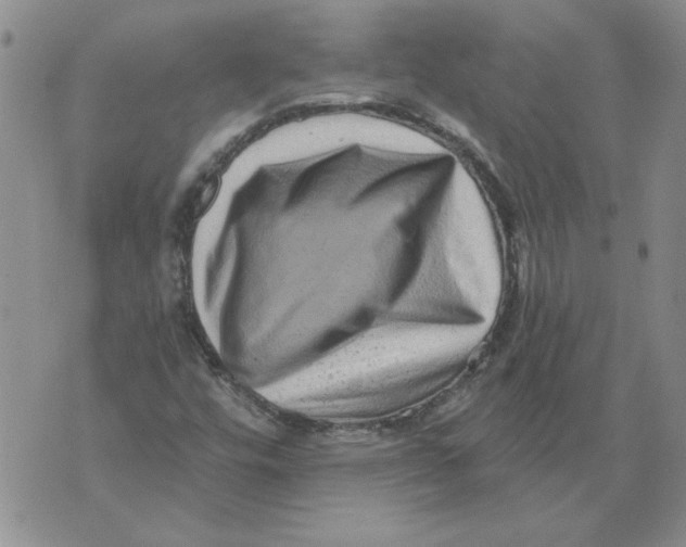 X0000076101448200610152331