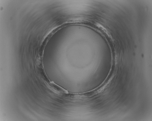 X0000076101449200610152331