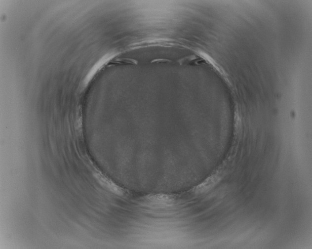 X0000076101450200610152331