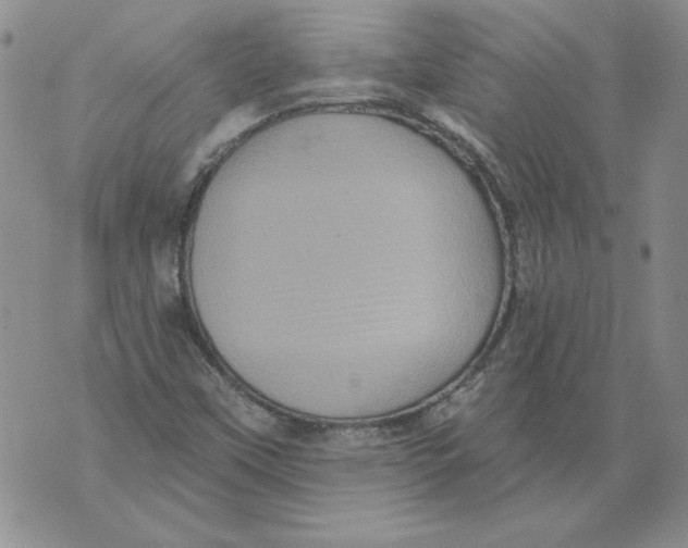 X0000076101451200610152331