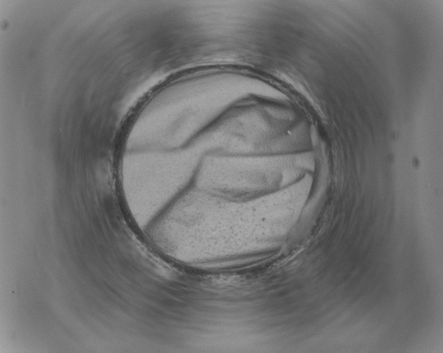 X0000076101452200610152331