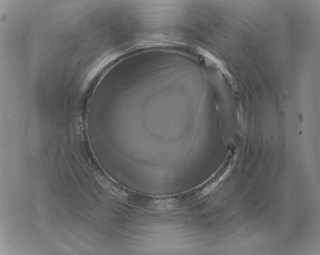 X0000076101453200610152331