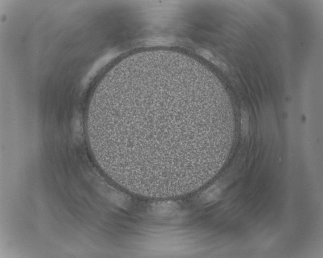 X0000076101454200610152331