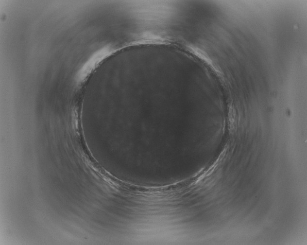 X0000076101455200610152331