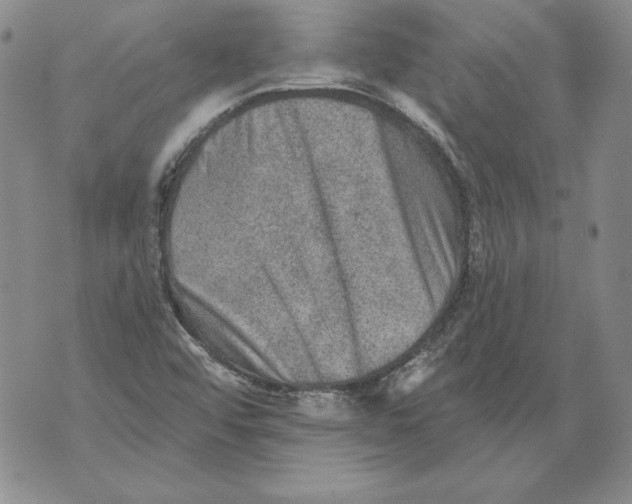 X0000076101456200610152331