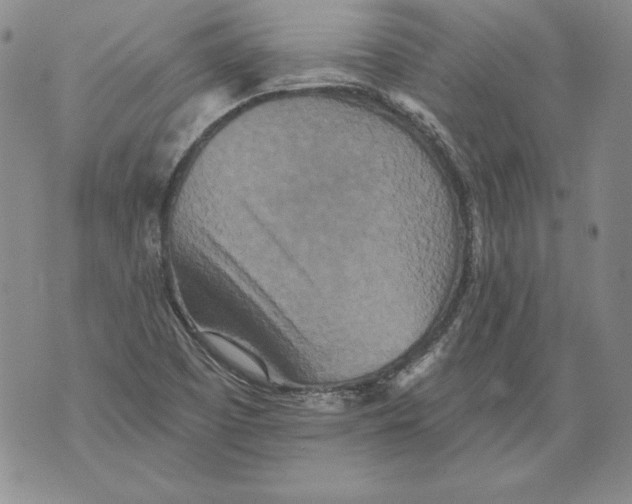 X0000076101457200610152331