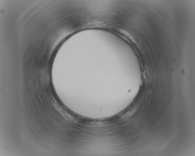 X0000076101458200610152331