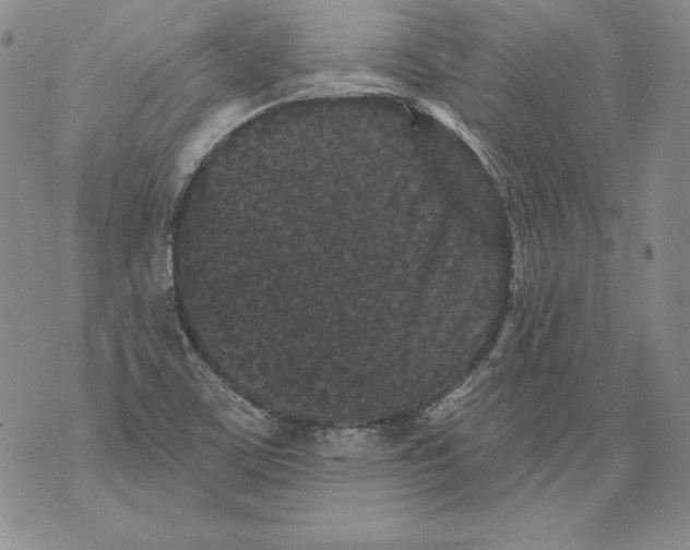 X0000076101459200610152331