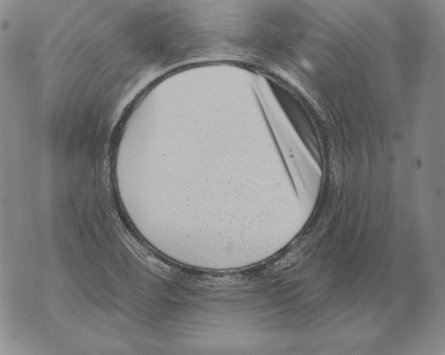 X0000076101460200610152331