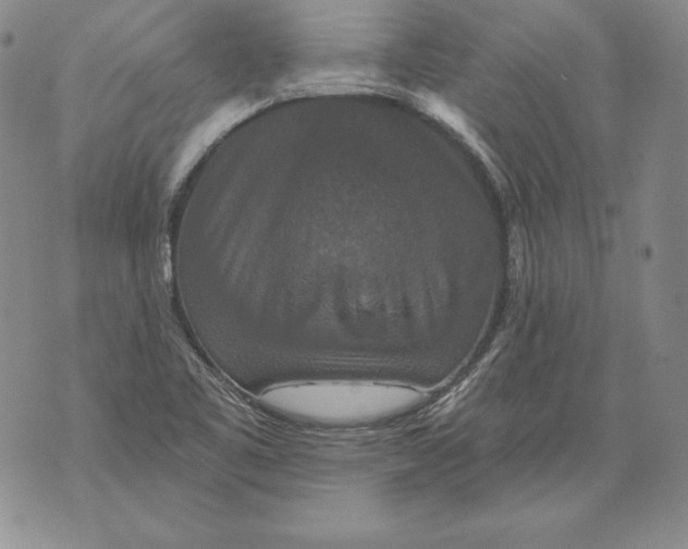 X0000076101461200610152331