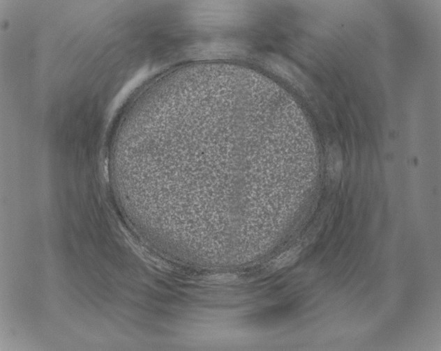 X0000076101462200610152331