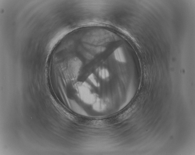 X0000076101463200610152331