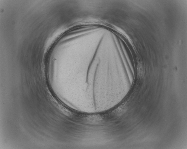 X0000076101464200610152331