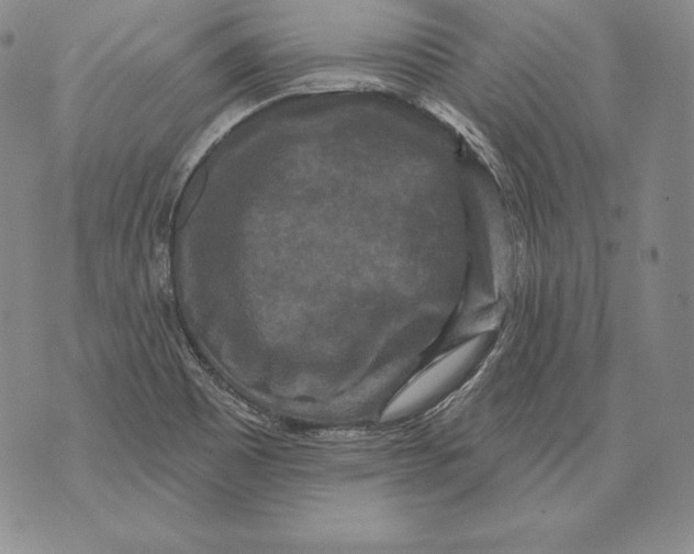 X0000076101465200610152331