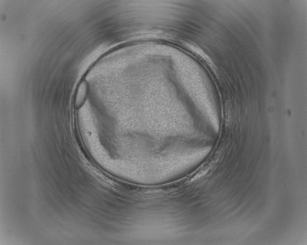 X0000076101467200610152331