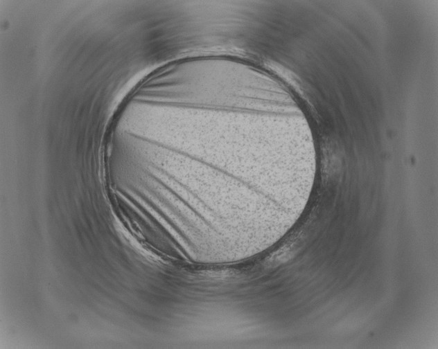 X0000076101468200610152331