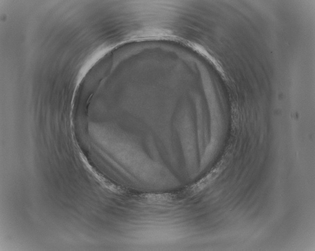 X0000076101469200610152331