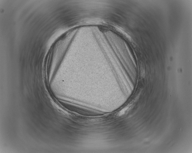 X0000076101471200610152331