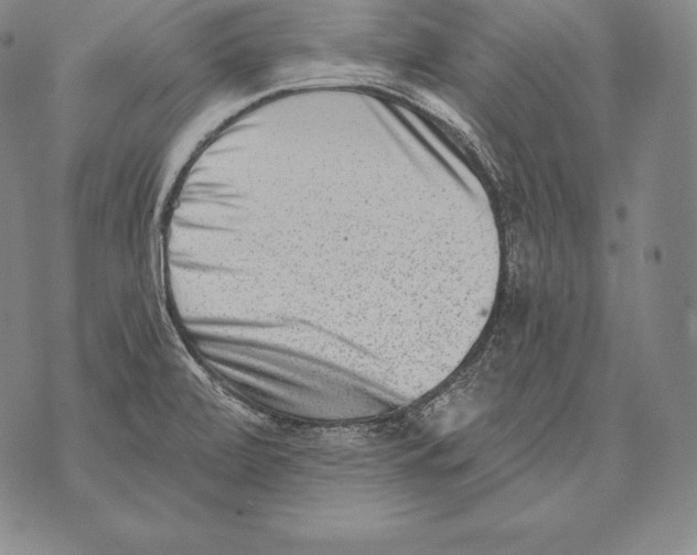 X0000076101472200610152331