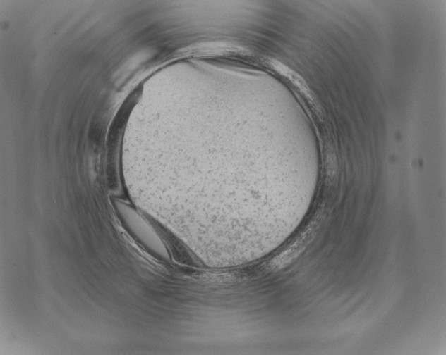 X0000076101473200610152331