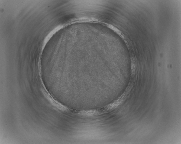 X0000076101474200610152331