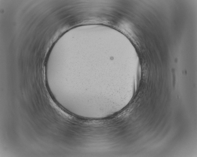 X0000076101476200610152331