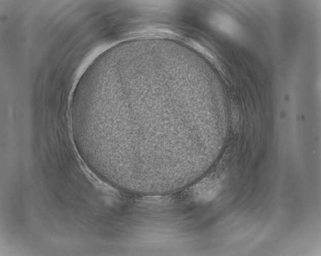 X0000076101478200610152331