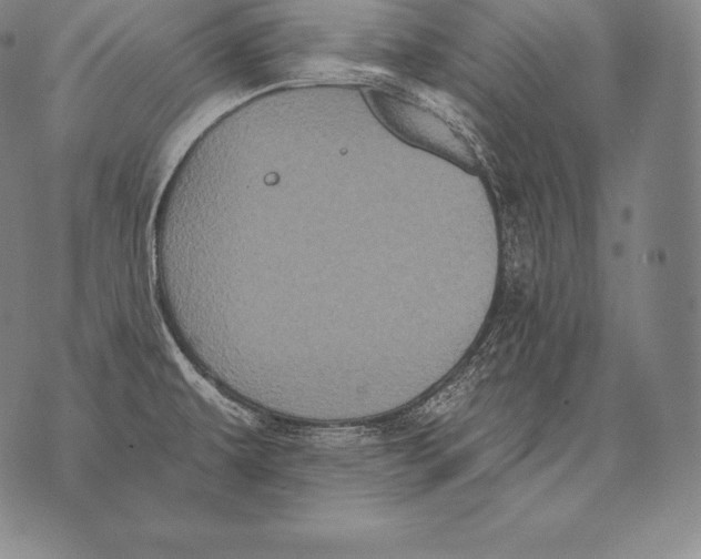 X0000076101479200610152331