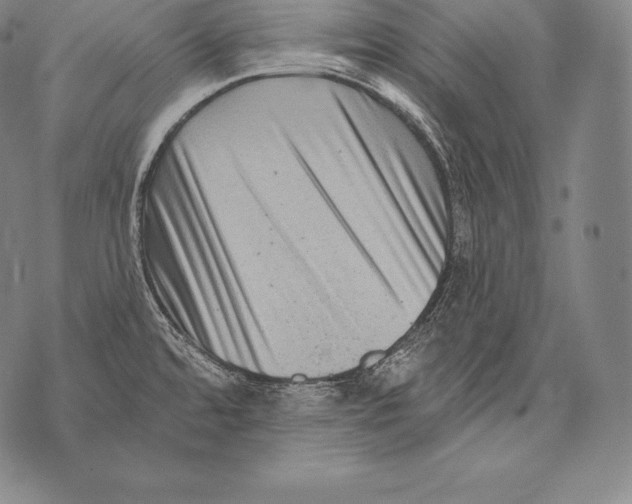 X0000076101480200610152331