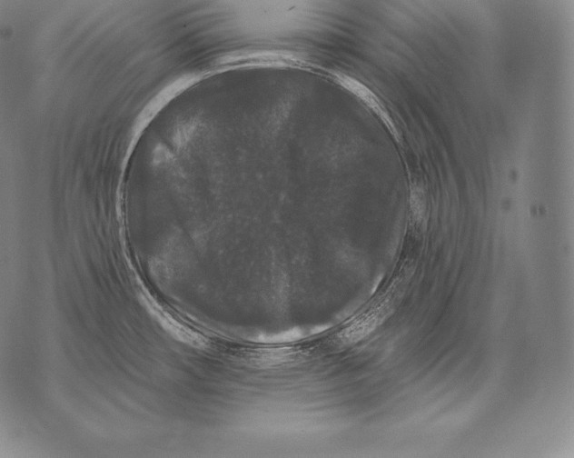 X0000076101482200610152331