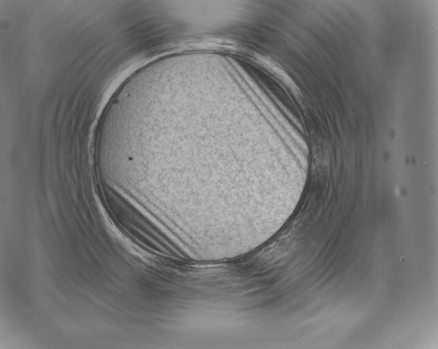 X0000076101483200610152331