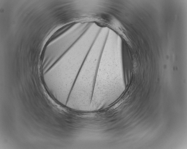 X0000076101484200610152331