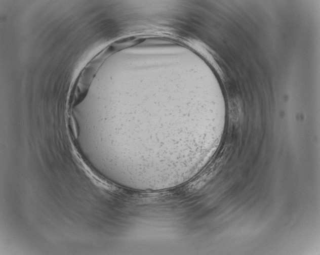 X0000076101485200610152331