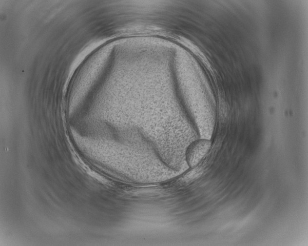 X0000076101486200610152331