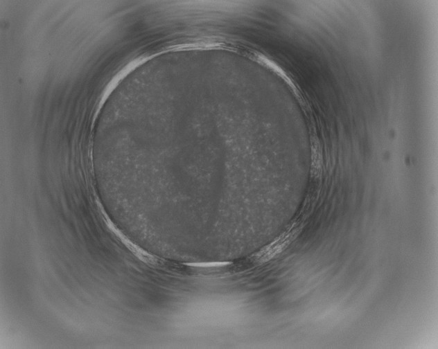 X0000076101487200610152331