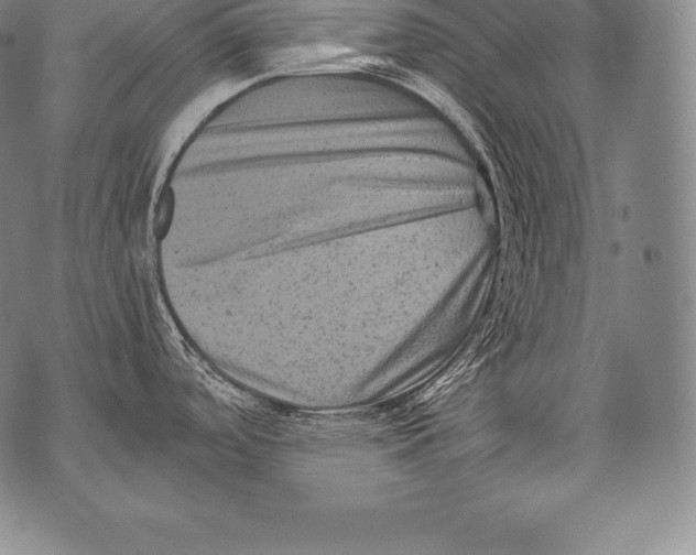 X0000076101488200610152331