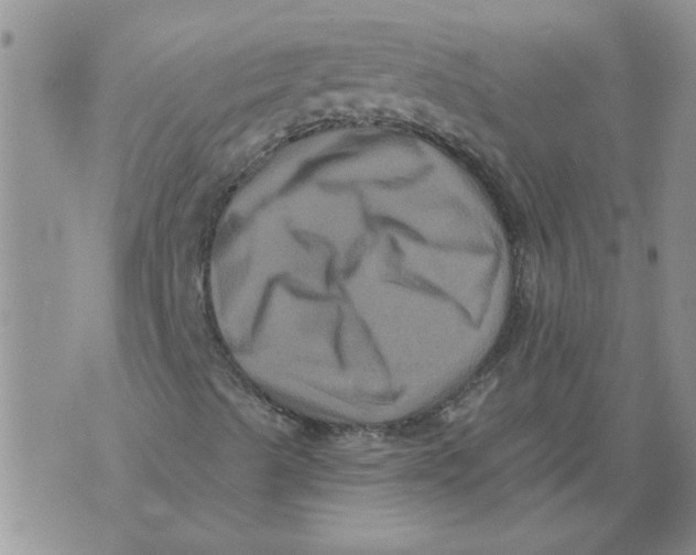 X0000076101489200610152330