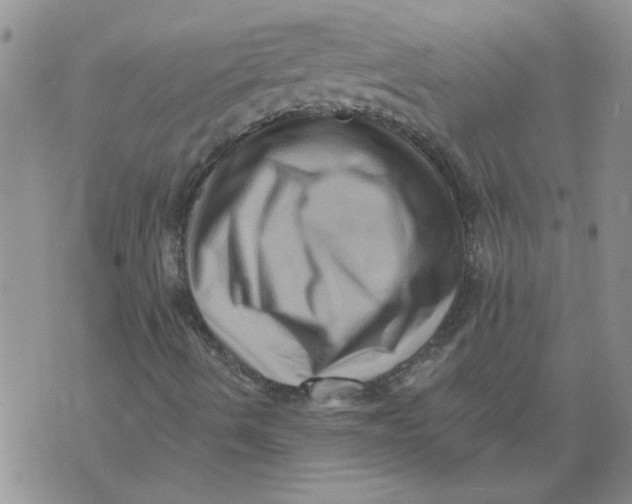 X0000076101490200610152330