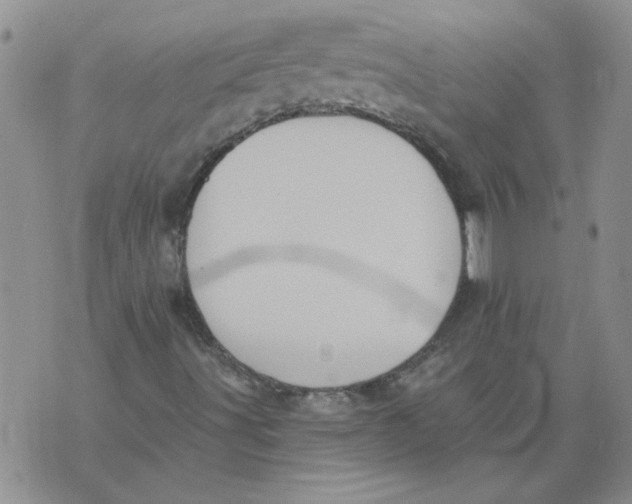 X0000076101491200610152330