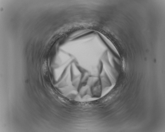 X0000076101492200610152330